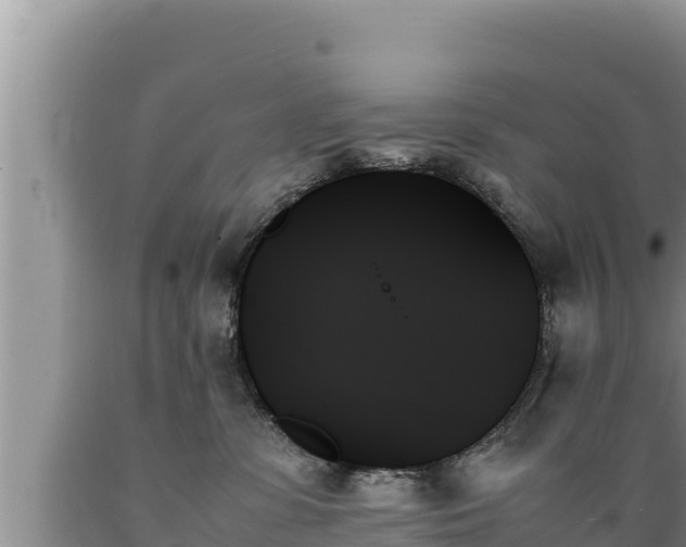 X0000089350331200706221144