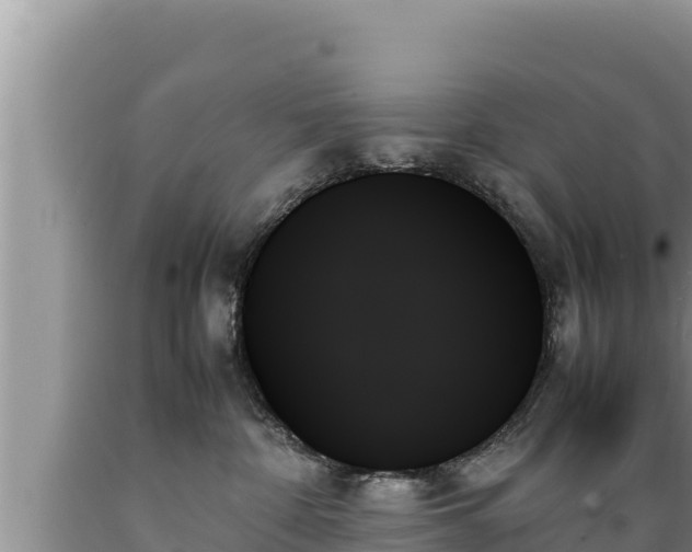 X0000089350332200706221144
