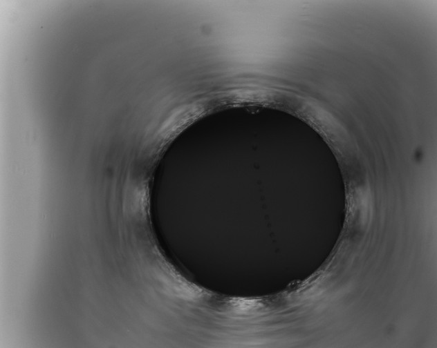 X0000089350333200706221144