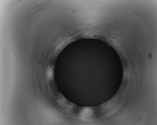 X0000089350335200706221143