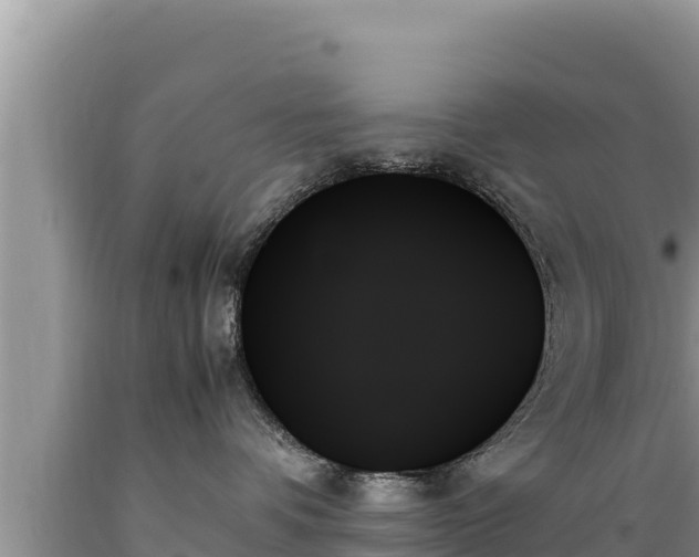X0000089350336200706221143