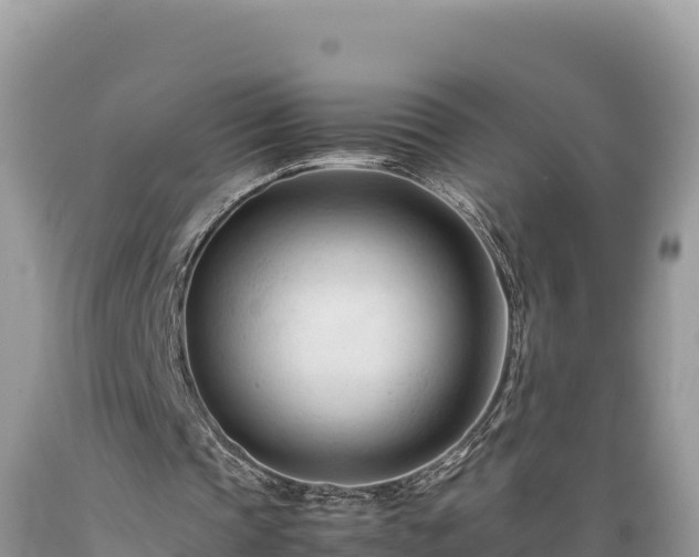 X0000089350337200706221143