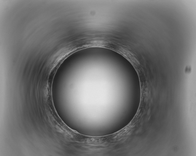 X0000089350338200706221143