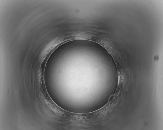 X0000089350339200706221143