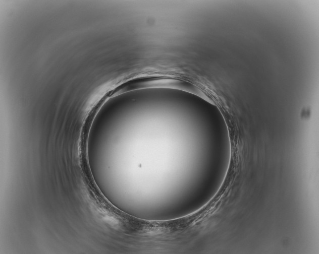 X0000089350340200706221143