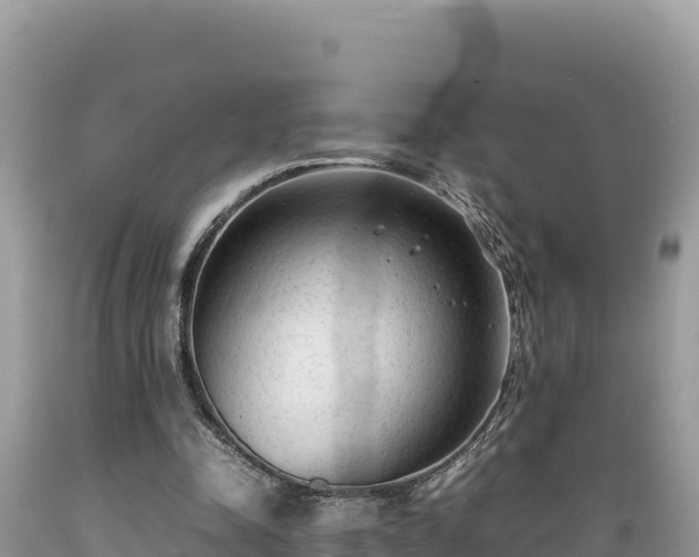 X0000089350342200706221143