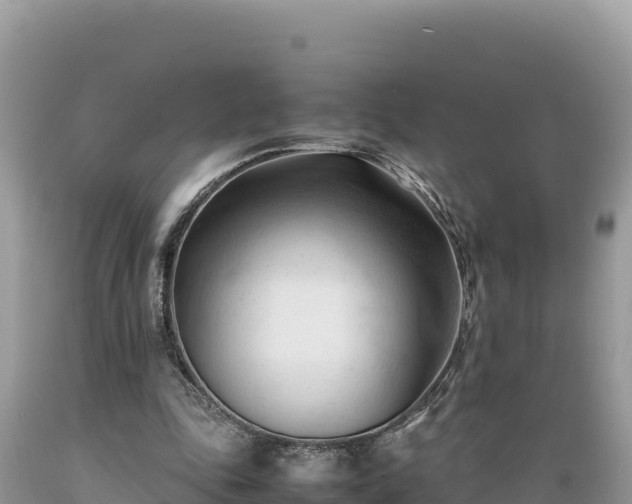 X0000089350343200706221143