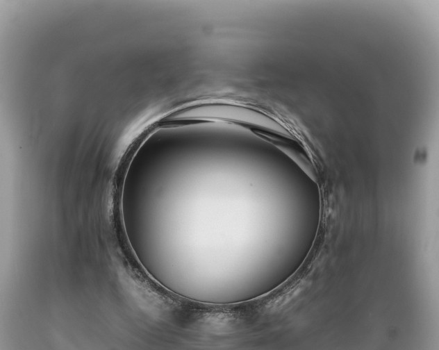 X0000089350344200706221143