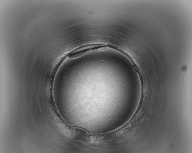 X0000089350345200706221143