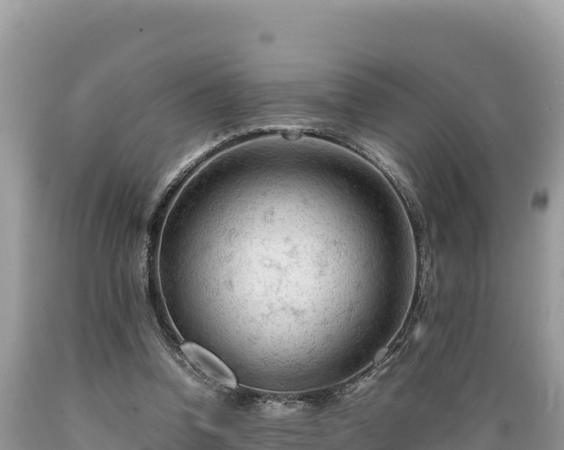 X0000089350346200706221143