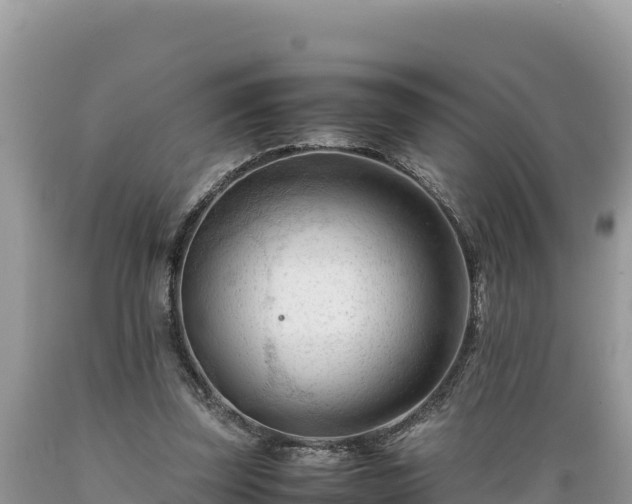 X0000089350347200706221143