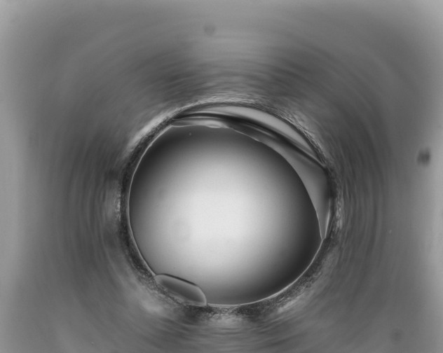 X0000089350348200706221143