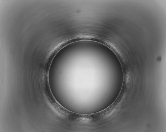 X0000089350352200706221143