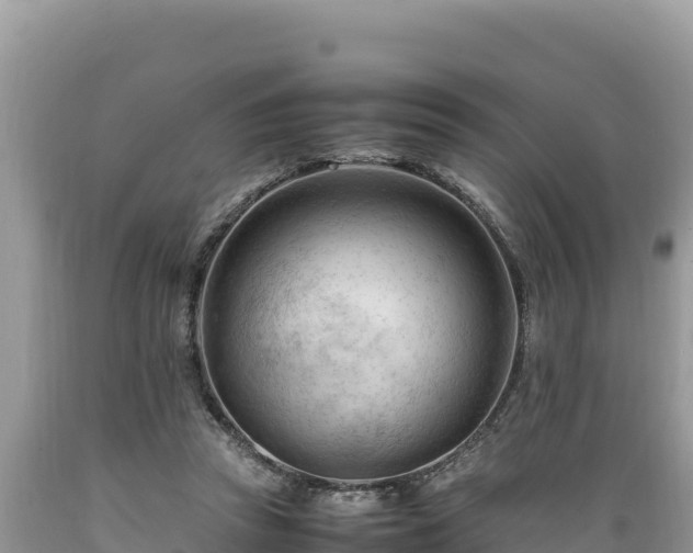 X0000089350353200706221143