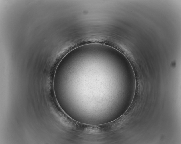 X0000089350354200706221143