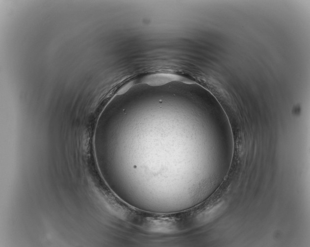X0000089350359200706221143