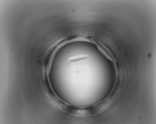 X0000089350360200706221143