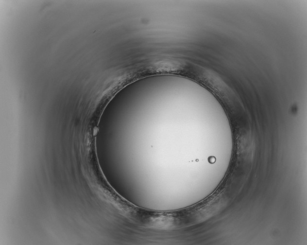 X0000089350362200706221143