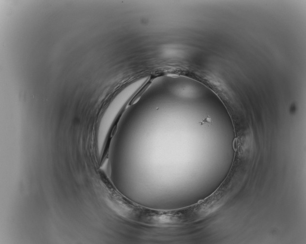 X0000089350365200706221143