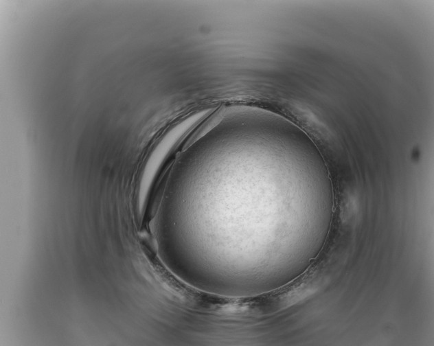 X0000089350366200706221143