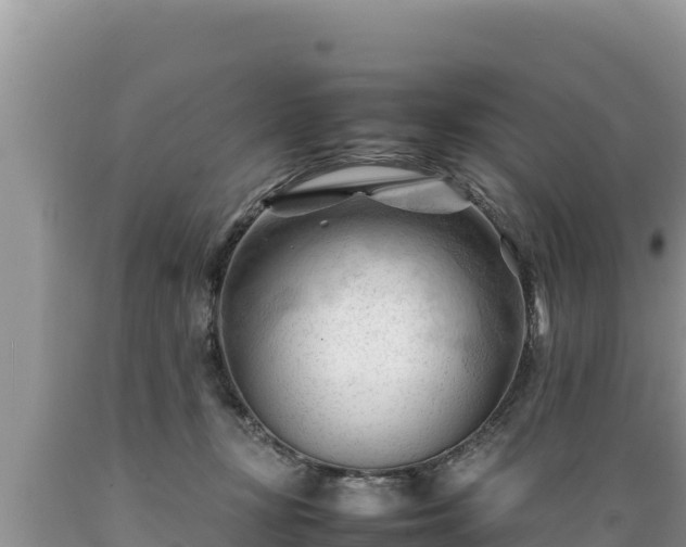 X0000089350367200706221143