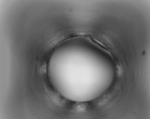 X0000089350368200706221143