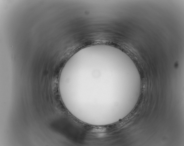 X0000089350369200706221143