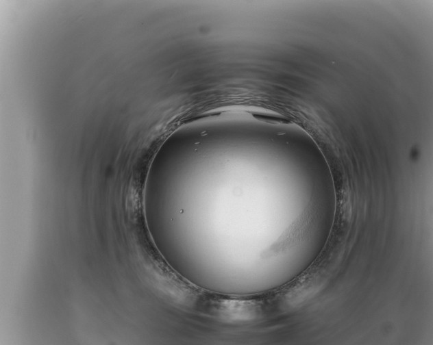 X0000089350371200706221143