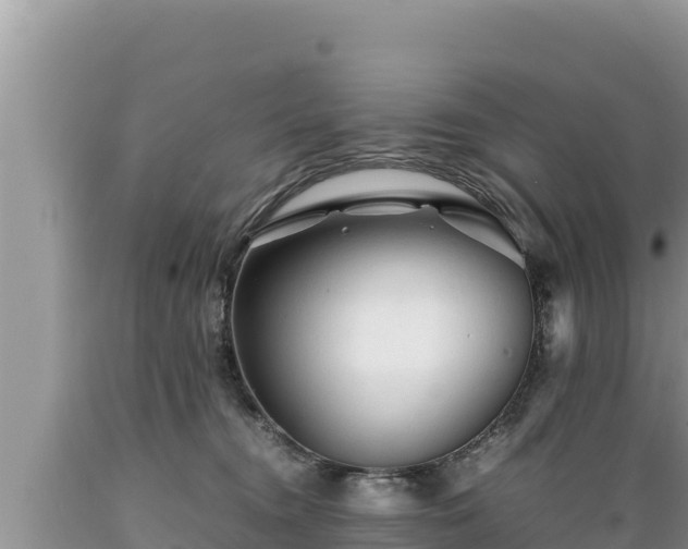 X0000089350372200706221143