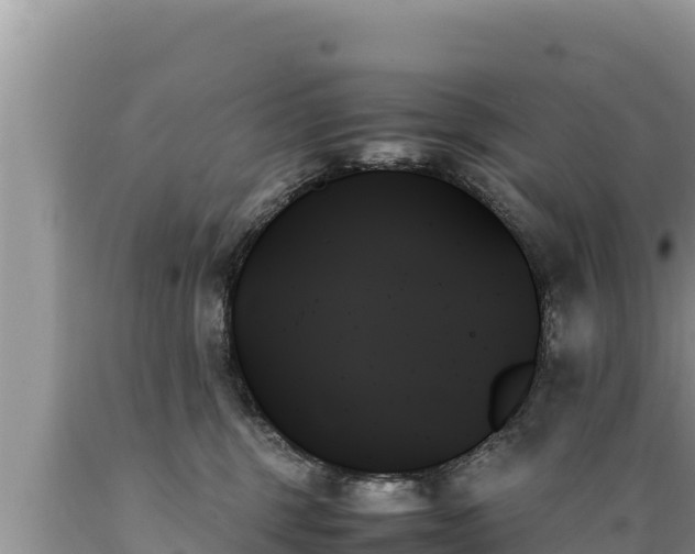 X0000089350375200706221143