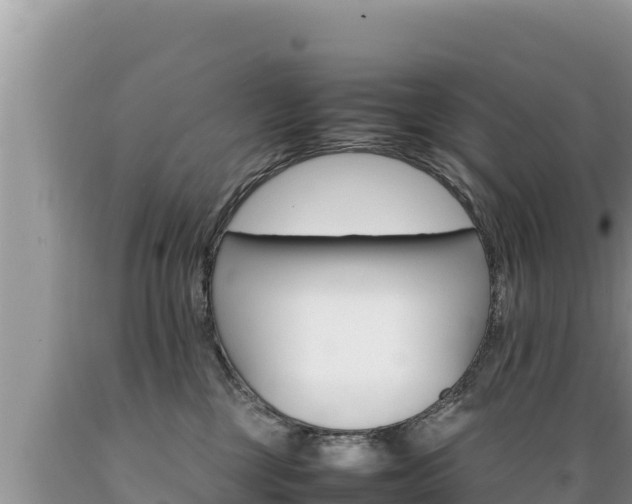 X0000089350377200706221143
