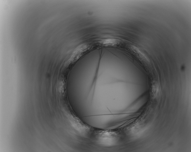 X0000089350379200706221143