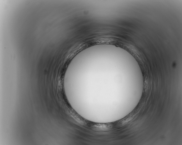 X0000089350381200706221143
