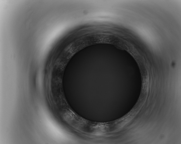 X0000089350383200706221143