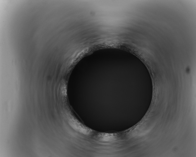 X0000089350384200706221143