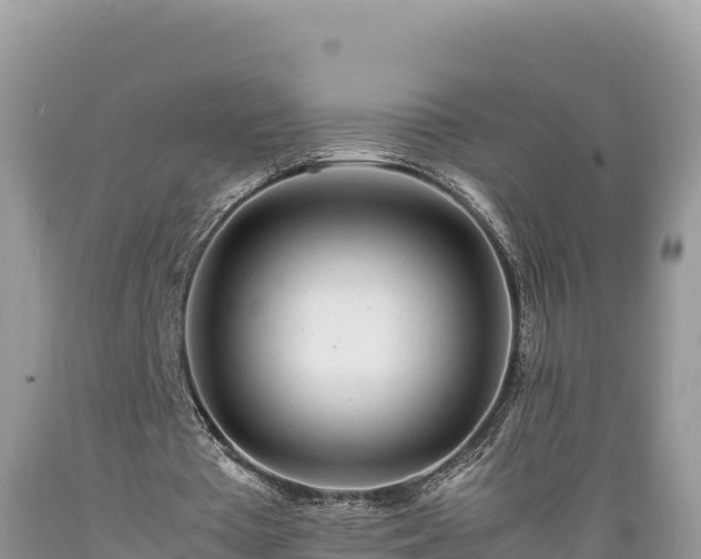X0000089350385200706221143