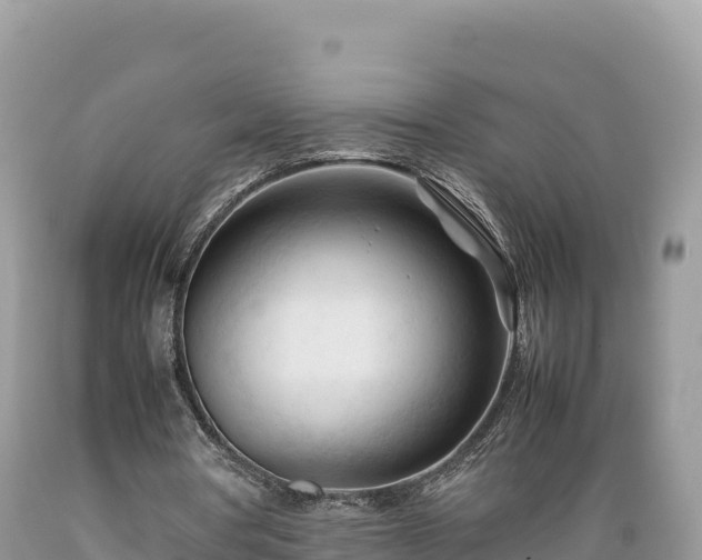 X0000089350386200706221143