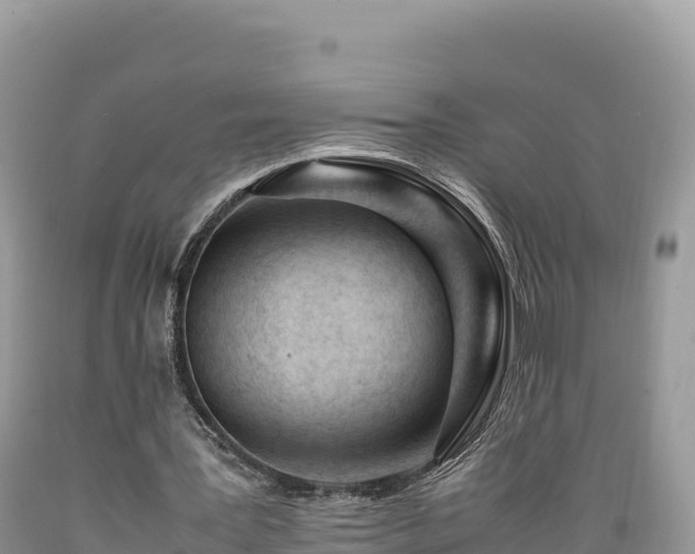 X0000089350387200706221143