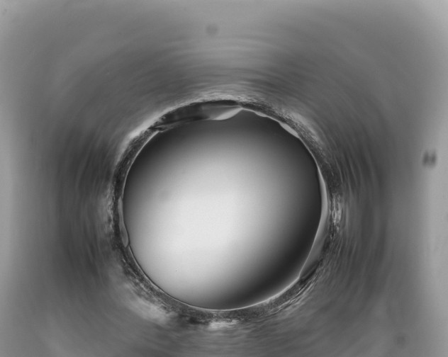 X0000089350388200706221143