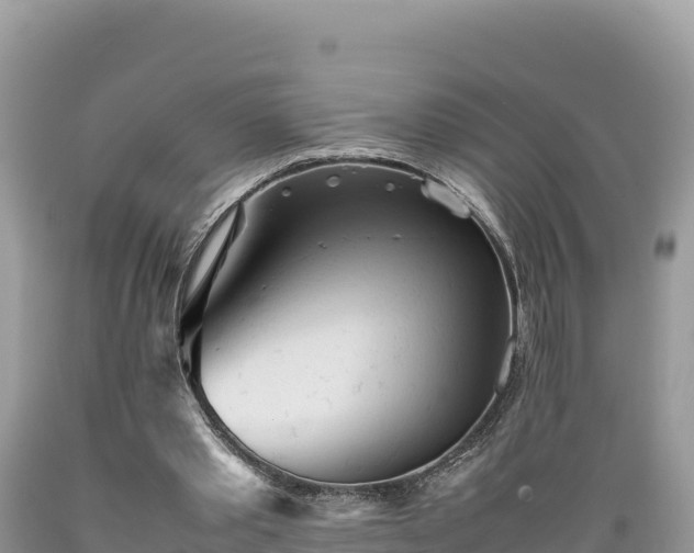X0000089350389200706221143