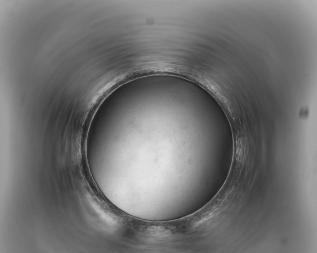 X0000089350390200706221143