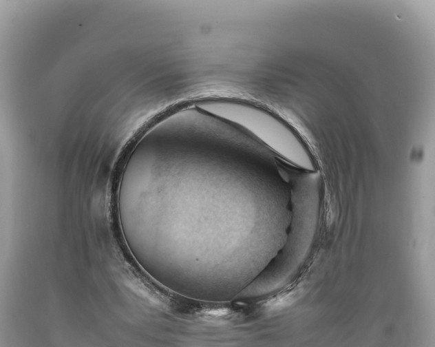 X0000089350391200706221143