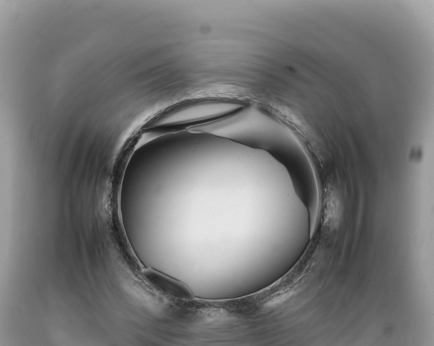 X0000089350392200706221143