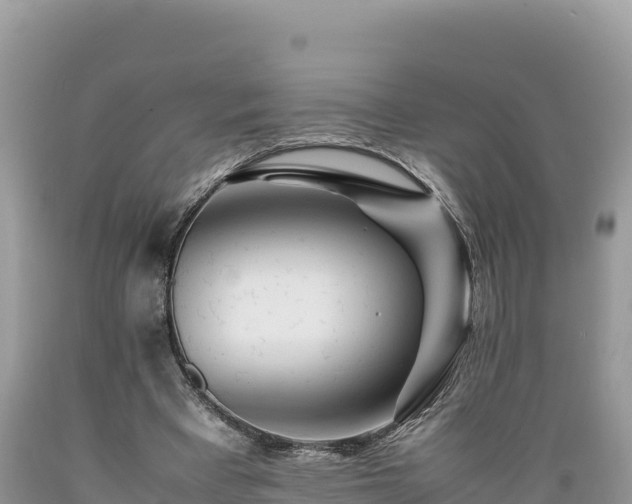 X0000089350393200706221143