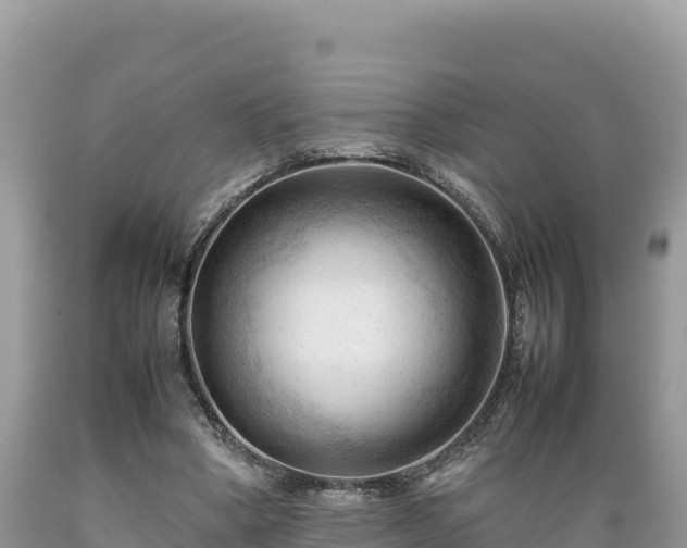X0000089350394200706221143