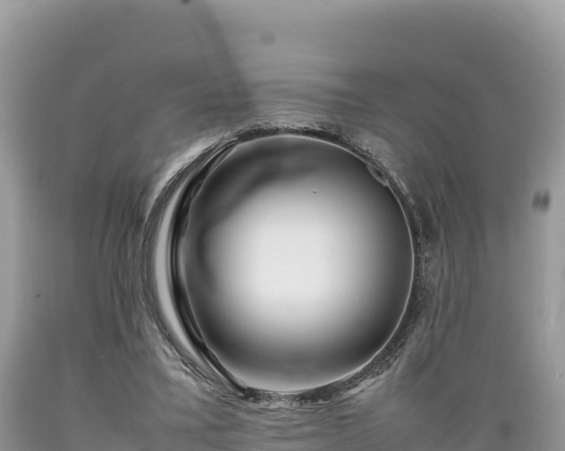 X0000089350395200706221143