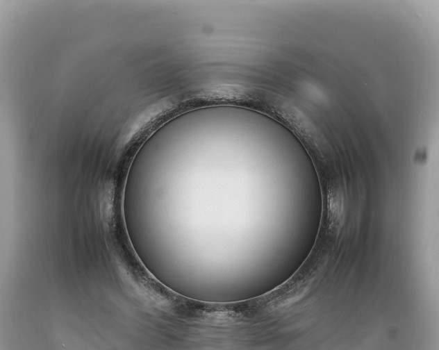 X0000089350396200706221143