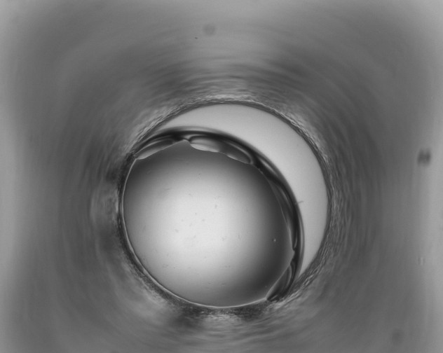 X0000089350397200706221143