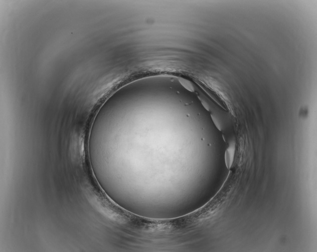 X0000089350398200706221143