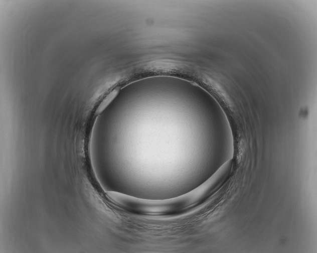 X0000089350399200706221143